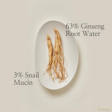 Beauty of Joseon Regenerative skin serum Ginseng + Snail Mucin (Revive Serum) 30 ml dla kobiety