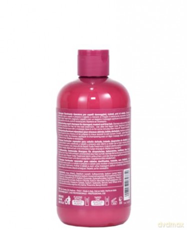 Inebrya Regenerative shampoo for damaged hair Shecare (Repair Shampoo) - Volume: 300 ml dla kobiety