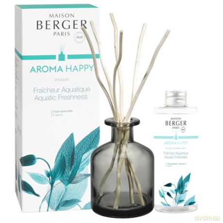 Maison Berger Paris Gift set Aroma Happy diffuser gray + refill Freshness of water 180 ml unisex