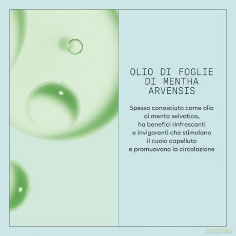 Nioxin Scalp Recovery (Purifying Clean ser Shampoo) - Volume: 1000 ml unisex