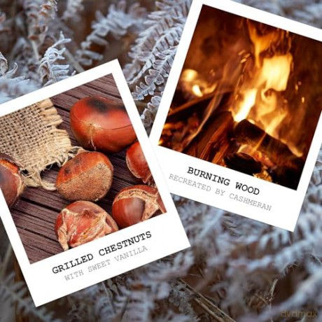 Maison Margiela Replica By The Fireplace - woda toaletowa (plnitelná) - Volume: 100 ml unisex