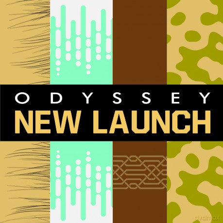 Armaf Odyssey Wild One Gold Edition - woda perfumowana - Volume: 100 ml dla mężczyzny