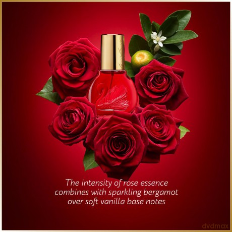 Gloria Vanderbilt Vanderbilt In Red - woda perfumowana - Volume: 30 ml dla kobiety