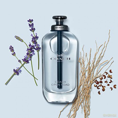 Coach Open Road - woda toaletowa - Volume: 100 ml dla mężczyzny