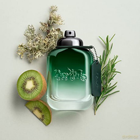 Coach Coach Green - woda toaletowa - Volume: 40 ml dla mężczyzny