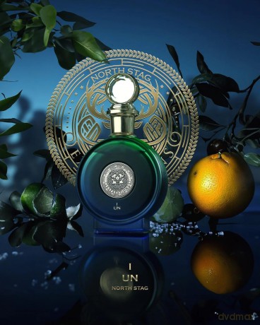 Paris Corner North Stag Expressions I Un - woda perfumowana - Volume: 100 ml unisex