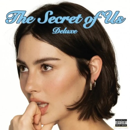 Gracie Abrams: The Secret Of Us [2x Winyl]
