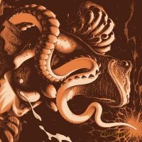 Boris: Amplifier Worship - 25th Anniversary [2xWinyl]