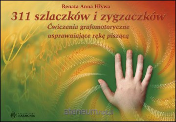 311 szlaczków i zygzaczków [KSIĄŻKA]