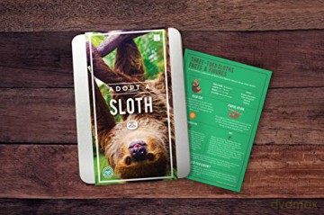 Adopt a Sloth