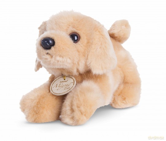 Aurora, 60470, MiYoni Tots Labrador, 8In, Soft Toy, Brown