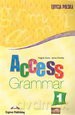 Access 1 Grammar [KSIĄŻKA]