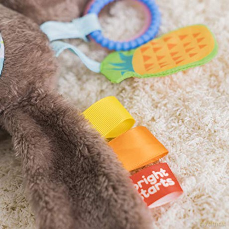 Bright Starts Slingin' Sloth Travel Buddy Plush Stuffed Animal Take-Along Stroller or Carrier Toy, Ages 0 Month+