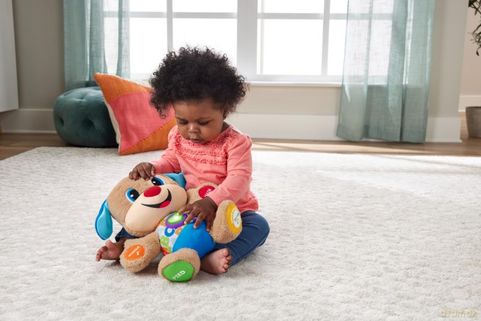 Fisher-Price Smart Stages Puppy, Version: French, FPM44