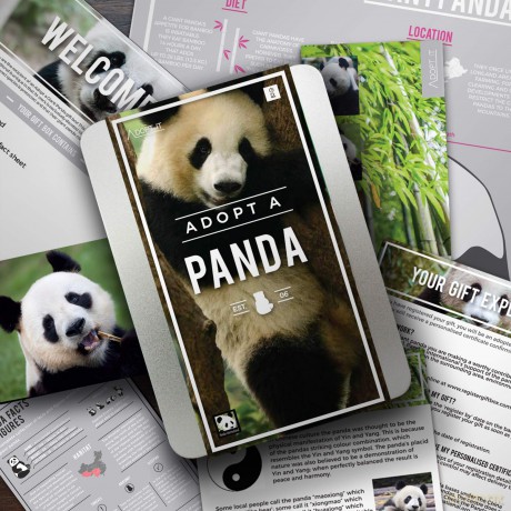 Gift Republic GR100043 Ltd Adopt a Panda, Multi