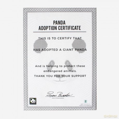 Gift Republic GR100043 Ltd Adopt a Panda, Multi