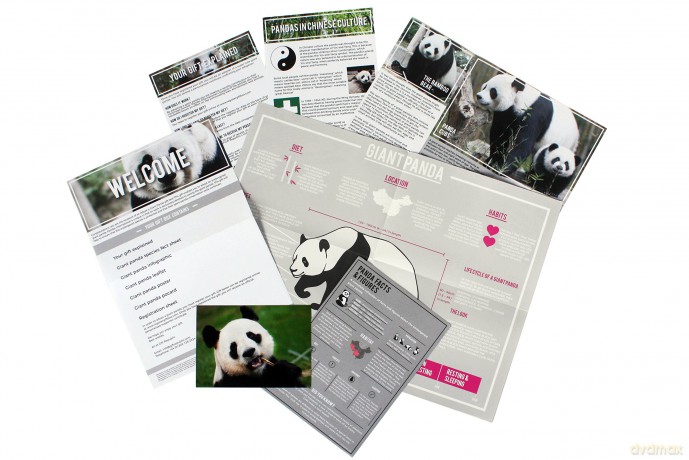 Gift Republic GR100043 Ltd Adopt a Panda, Multi