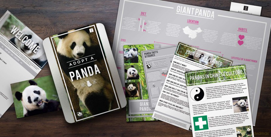 Gift Republic GR100043 Ltd Adopt a Panda, Multi