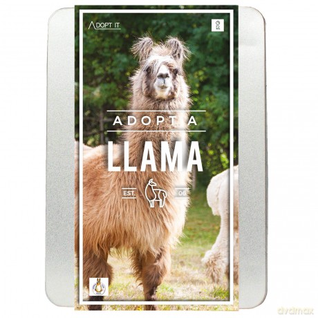 Gift Republic GR100051 Adopt a Llama Kit, Multi