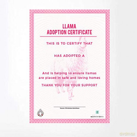 Gift Republic GR100051 Adopt a Llama Kit, Multi