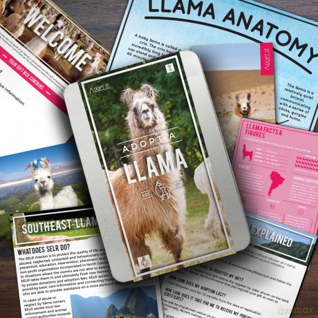 Gift Republic GR100051 Adopt a Llama Kit, Multi