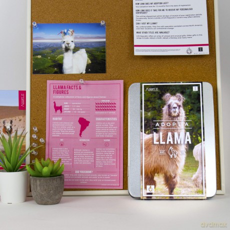 Gift Republic GR100051 Adopt a Llama Kit, Multi