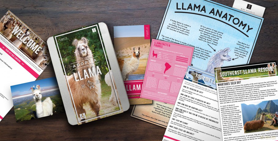 Gift Republic GR100051 Adopt a Llama Kit, Multi