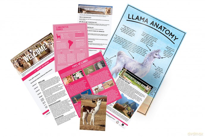 Gift Republic GR100051 Adopt a Llama Kit, Multi