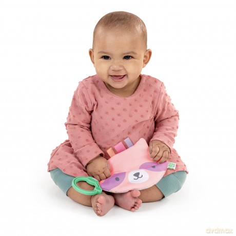 Ingenuity ity Crinklet, Raccoon Crinkle Toy for Newborn and Up, Satin Ribbon Tags, C-link Attachment, Unisex - Deni