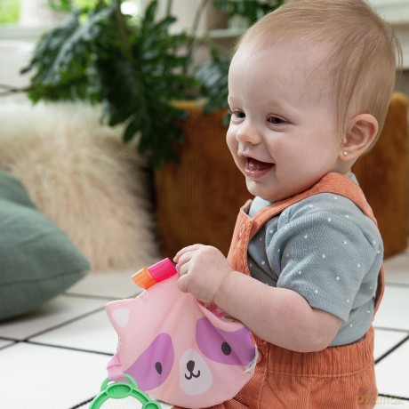 Ingenuity ity Crinklet, Raccoon Crinkle Toy for Newborn and Up, Satin Ribbon Tags, C-link Attachment, Unisex - Deni