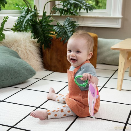 Ingenuity ity Crinklet, Raccoon Crinkle Toy for Newborn and Up, Satin Ribbon Tags, C-link Attachment, Unisex - Deni