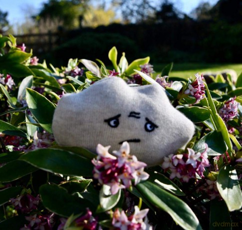 Learn Well T3382 Bag Set of 4 Soft and Washable Emotion Buddies