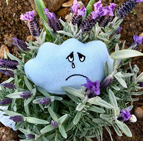 Learn Well T3382 Bag Set of 4 Soft and Washable Emotion Buddies