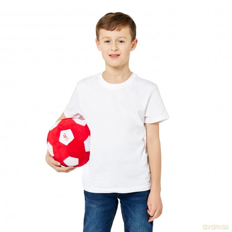 Liverpool FC Officially Licensed Plush Football - 22 cm Soft Toy Pillow - Fluffy Stuffed Football Ideal for Kids and Adults - Perfect Sports Gift for Kopites