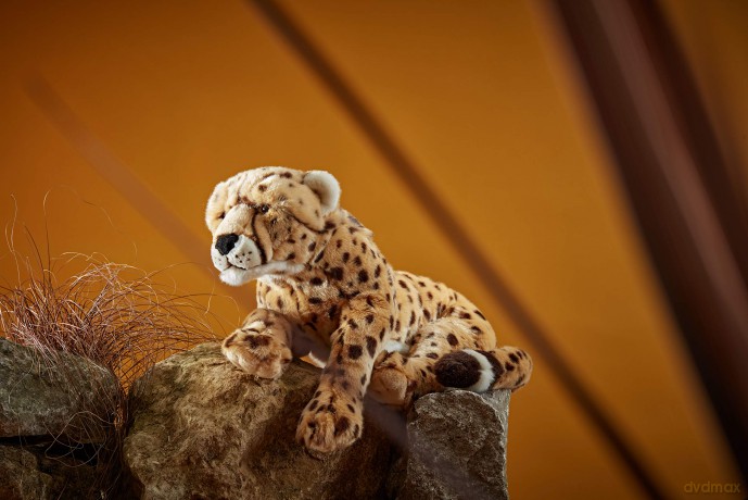 Living Nature AN325 Soft Toy Animal Cheetah Large, Unknown, White