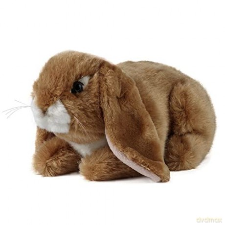 Living Nature AN40 Soft Toy Lop Eared Rabbits 3 Designs, Unknown, Medium, Unbekannt