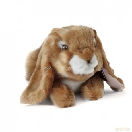 Living Nature AN40 Soft Toy Lop Eared Rabbits 3 Designs, Unknown, Medium, Unbekannt