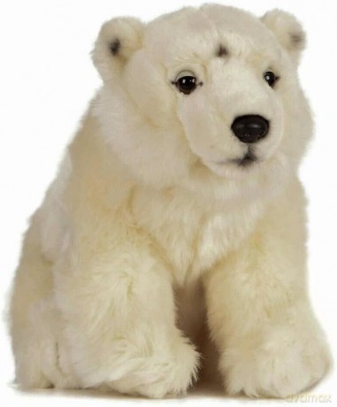 Living Nature AN425 Soft Toy Polar Bear Small, Unknown, 30cm, White