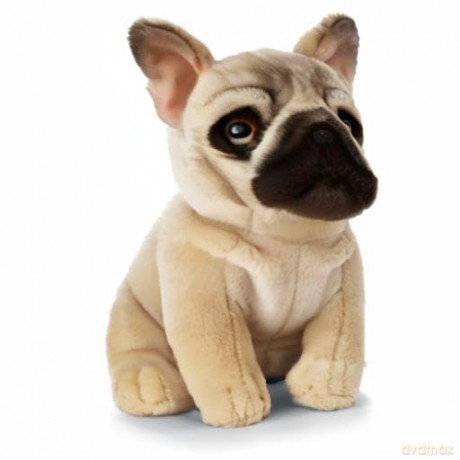 Living Nature AN452 Pets French Bulldog Plush, Realistic Soft Cuddly Sitting Toy, 21cm, 20cm Dog