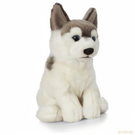 Living Nature AN461 Pets Husky, Realistic Soft Cuddly Dog Toy, Naturli Eco-Friendly Plush, Blue,Grey,White, 21cm