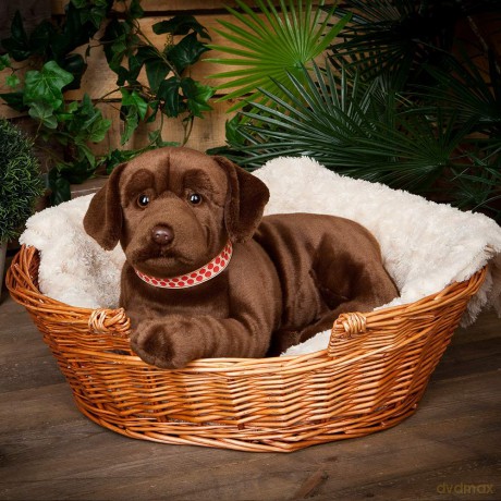 Living Nature Giant Chocolate Labrador, Realistic Soft Cuddly Dog Toy, Naturli Eco-Friendly Plush, 60cm