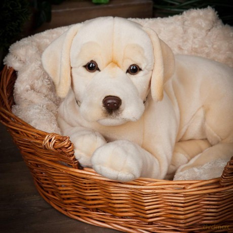 Living Nature Giant Golden Labrador, Realistic Soft Cuddly Dog Toy, Naturli Eco-Friendly Plush, 60cm