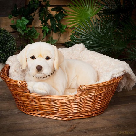 Living Nature Giant Golden Labrador, Realistic Soft Cuddly Dog Toy, Naturli Eco-Friendly Plush, 60cm