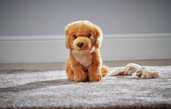 Living Nature Golden Retriever Stuffed Animal Plush Toy | Fluffy and Cuddly Dog Animal | Soft Toy Gift for Kids | Boys and Girls Stuffed Doll | Naturli Eco-Friendly Plushies | 20 cm