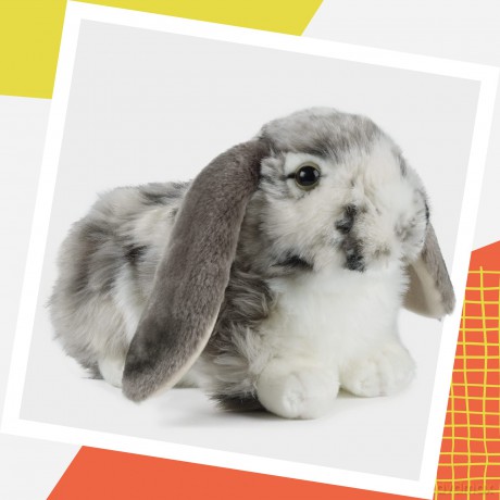 Living Nature Grey Dutch Lop Eared Rabbit Stuffed Animal Plush Toy | Fluffy Soft Toy Gift for Kids | Boys and Girls Doll | Naturli Eco-Friendly | 26 cm