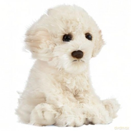 Living Nature Labradoodle Puppy, Realistic Soft Cuddly Dog Toy, Naturli Eco-Friendly Plush, 16cm, Cream