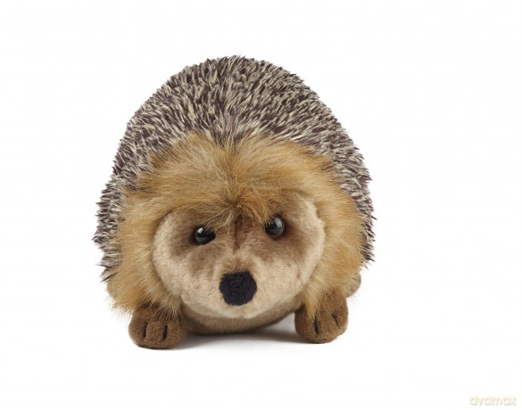 Living Nature Large Hedgehog, Realistic Soft Cuddly Hedgehog Toy, Naturli Eco-Friendly Plush, 23cm, Brown
