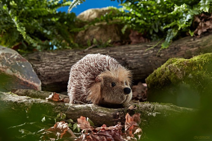 Living Nature Large Hedgehog, Realistic Soft Cuddly Hedgehog Toy, Naturli Eco-Friendly Plush, 23cm, Brown