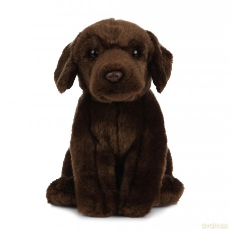 Living Nature Soft Toy - Chocolate Labrador (20cm),Brown
