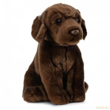 Living Nature Soft Toy - Chocolate Labrador (20cm),Brown